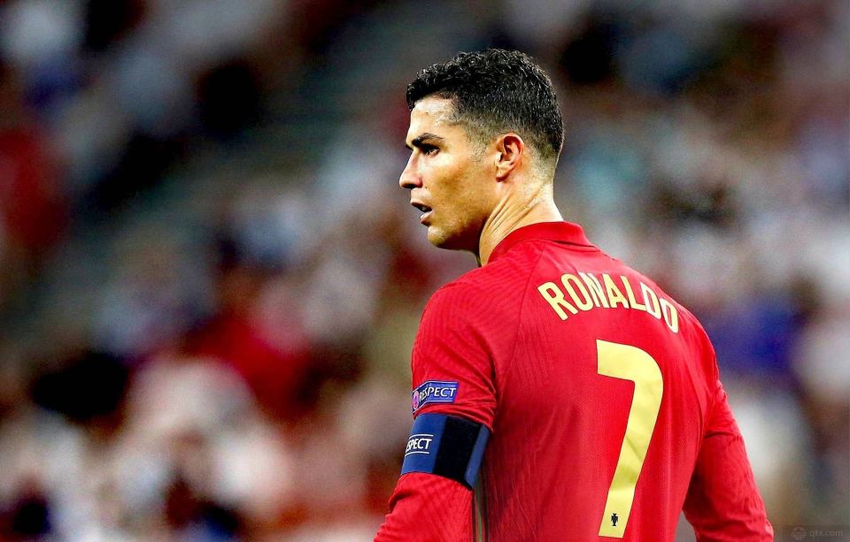 本土投手培 本土投手培