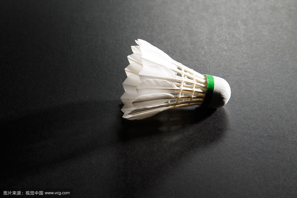 山东省体育 山东省体育